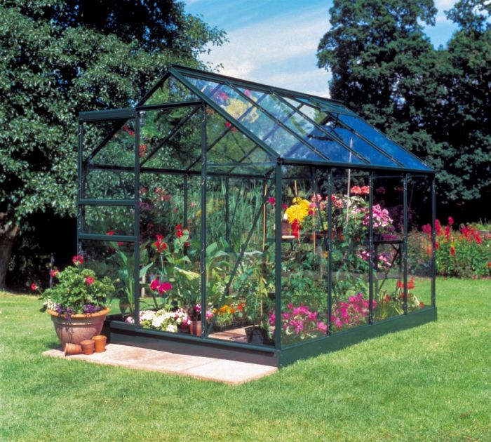 Halls Popular Testivoittaja